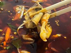-烧哥美蛙肥肠鱼火锅·十五年社区店