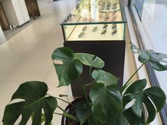 -宝视达眼镜(美中城店)
