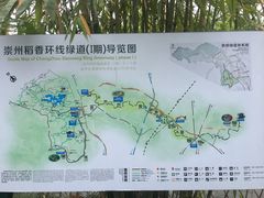 -桤木河湿地公园