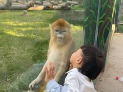 -西安秦岭野生动物园