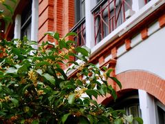 -上海交通大学医学院附属瑞金医院(总院)