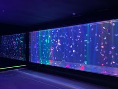 -邯郸海洋世界