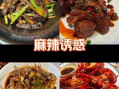-杨氏青龙虾·羊蝎子(金盛路总店)