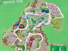 -天适樱花悠乐园