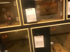 -八公叔叔宠物美容连锁(春申店)