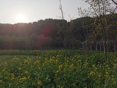 -苏州上方山国家森林公园