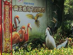 -广州长隆飞鸟乐园