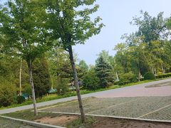 -秦皇岛野生动物园