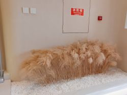 -佳妍惠美科技美肤美体中心