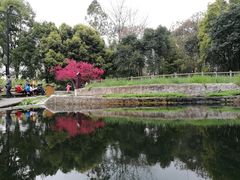 -成都市活水公园