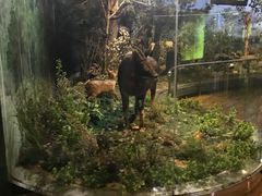 -陕西自然博物馆