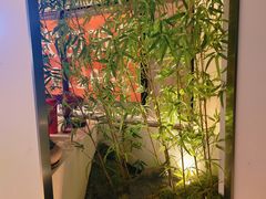 -一捞鲜•青岛大虾面(八大关店)