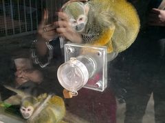 -西安秦岭野生动物园