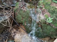 -鲁山国家森林公园