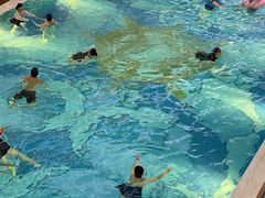 -海韵之星邮轮水会(明发商业广场店)