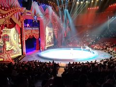 -珠海横琴长隆《卡卡虎奇遇记》