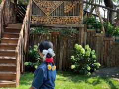 -沂蒙山旅游区云蒙景区(蒙山国家森林公园)