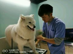 -哆趣宠物医院·眼科·内镜·急重症转诊中心(上海店)