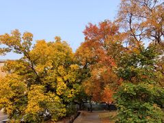 -国家植物园南园