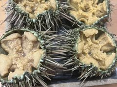 -海胆小馆(东北水饺·春柳店)