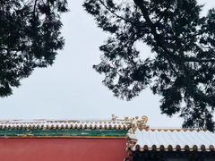 -故宫博物院(故宫)