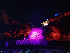 -印象普陀
