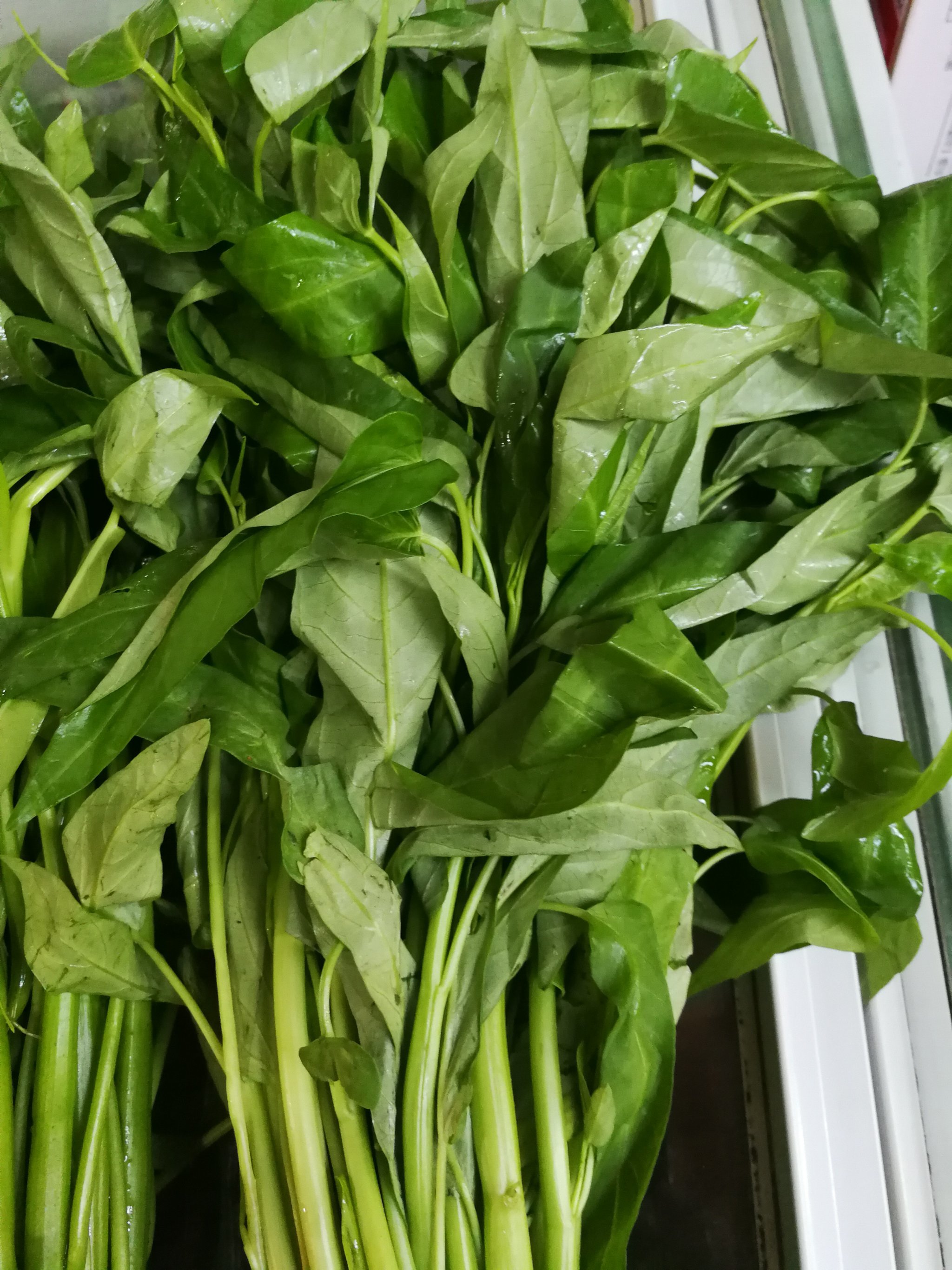 空心菜学名叫蕹菜,又叫菜蓊,蓊菜,藤藤菜