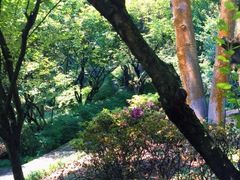 -南山植物园