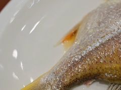 -长平肥姐白粥·海鲜打冷