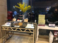 -碧桂园空港凤凰酒店(广州新白云机场店)