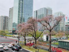-白石桥南(地铁站)