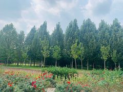 -东郊湿地公园