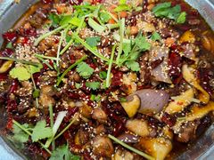 -食神又名厕所兔