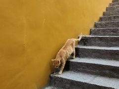 -宝通禅寺