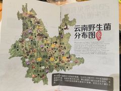 -一朵菌·野生菌探索家火锅(南亚店)