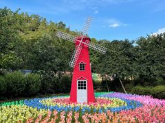 -广州白江湖森林公园