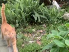 -成都市活水公园