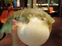 -肆月河豚·淮扬菜·湘菜(华天店)