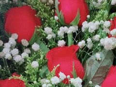 -花之语相约花坊