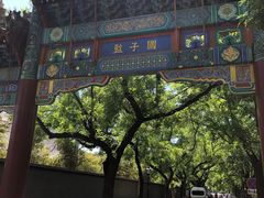 -北京国子监胡同