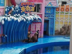 -华夏文旅海洋公园