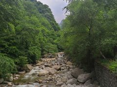 -青峰峡国家森林公园