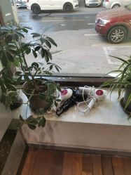 -M+hair salon专业造型沙龙