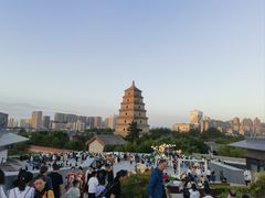 -温野菜涮涮锅(曲江大悦城店)