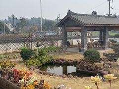 -马村鱼头