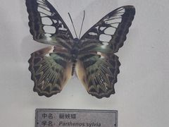 -郑州自然博物馆(惠济区)