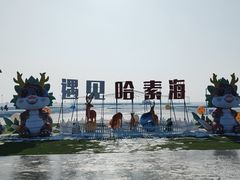-哈素海