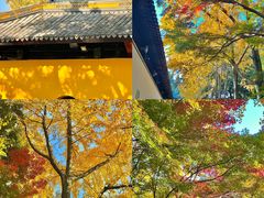 -西园戒幢律寺