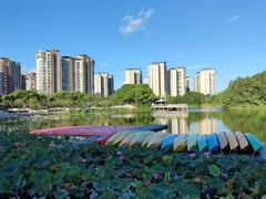 -新江湾城公园