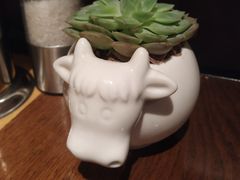 -FAT COW(虹梅路店)